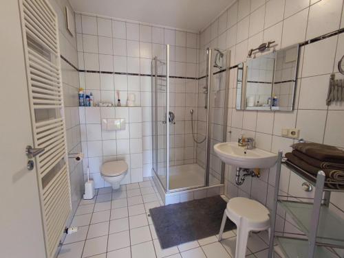 a bathroom with a shower and a sink and a toilet at Ferienwohnung "Dorfblick" in Leinsweiler