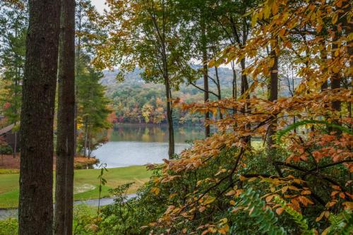 Lakeview Bliss – Photos 5
