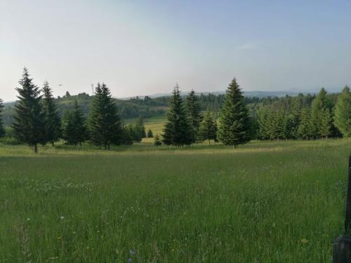 Gallery image of Planinska kuća Jabuka in Prijepolje