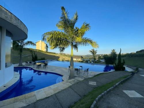 a palm tree sitting next to a swimming pool at Apartamento aconchegante in Bananeiras