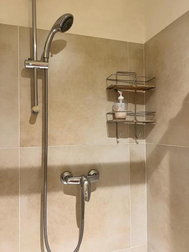 La salle de bains est pourvue d'une douche avec un pommeau de douche. dans l'établissement Domaine du Lac de la vallée, à La Roquette-sur-Siagne