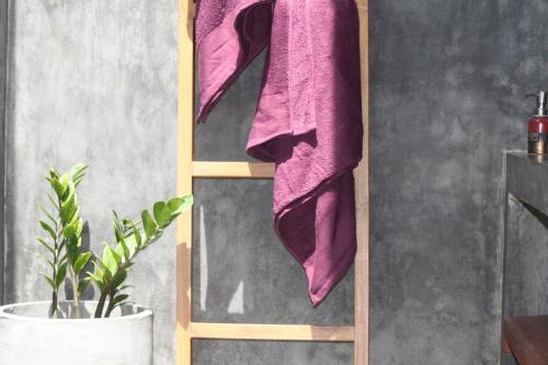 阿漢伽馬的住宿－Ebony Boutique Villa，植物旁边的梯子上的粉红色毛巾