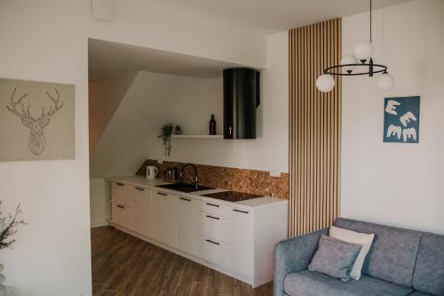 eine Küche mit einem Sofa und eine Küche mit einer Theke in der Unterkunft Sam Las Apartamenty Białowieża in Białowieża