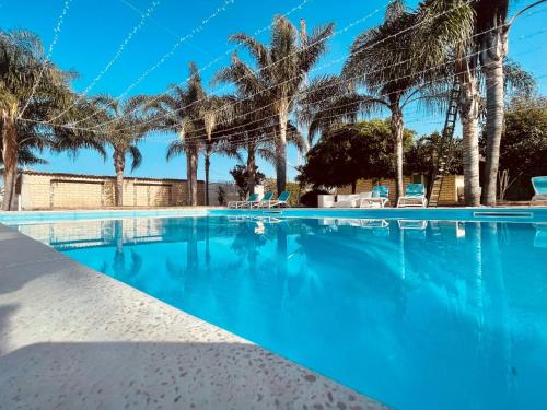 une piscine avec des palmiers en arrière-plan dans l'établissement Borgo Camicia In, à Barcellona-Pozzo di Gotto