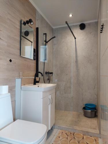 ルシノボにあるDomki letniskowe Redaのバスルーム(シャワー、洗面台、トイレ付)