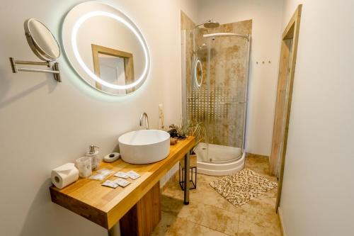 a bathroom with a sink and a shower at Dēseles dzirnavas - Guest House in Embūte
