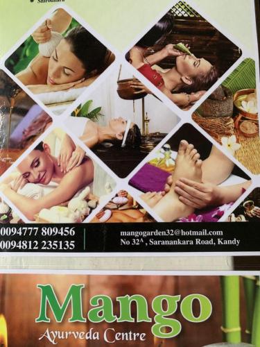 Certificat, récompense, panneau ou autre document affiché dans l'établissement Hotel Mango Garden