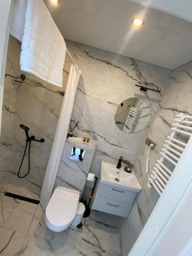 a bathroom with a sink and a toilet and a mirror at MMA apartament in Klaipėda