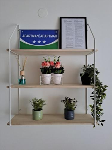 a shelf with potted plants on it at Apartman Park in Zvornik