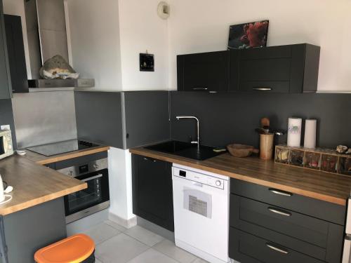 kuchnia z czarnymi szafkami i zlewem w obiekcie Appartement a proximité du centre et de la Plage a Meze w mieście Mèze