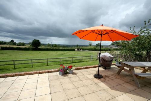 - un parasol orange assis sur une terrasse avec une table de pique-nique dans l'établissement Lovely two bedroom bungalow with hot tub, à Yeovil