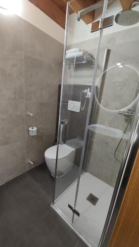 a bathroom with a glass shower and a toilet at Wine Resort in Faedis