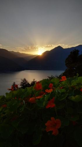 a sunset over a lake with flowers in the foreground at Private Romantic Wellness Lake View Retreat- Whirlpool Hammam Spa e Piscina panoramica in Maccagno con Pino e Veddasca