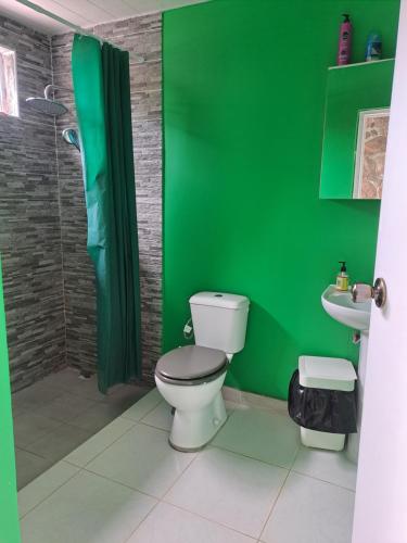 baño verde con aseo y ducha en Laure hébergement chambre tiare en Faaa