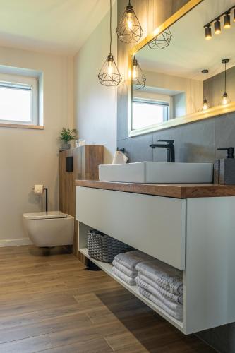 a bathroom with a sink and a toilet and a mirror at Lamelove Apartments - Energylandia, Zator in Chocznia