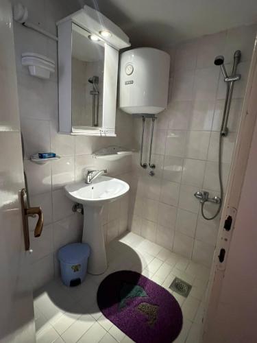 a small bathroom with a sink and a shower at Apartments Moracanin in Sutomore