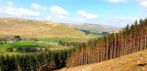 Honey Cottage Caravan Park – Photos 2