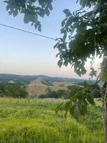 a view from the top of a hill with green grass at Dedina kuća in Gornji Milanovac