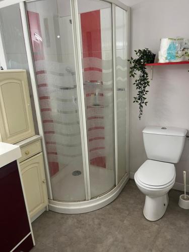 La salle de bains est pourvue d'une douche et de toilettes blanches. dans l'établissement Petite maison sympa, à Saint-Jean-sur-Mayenne