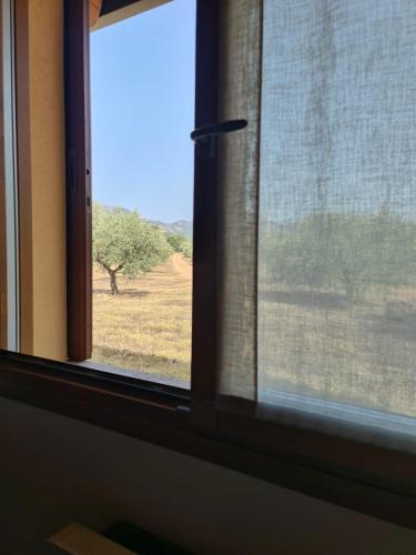 Fotografie z fotogalerie ubytování Agriturismo Corte degli Ulivi v destinaci Capoterra