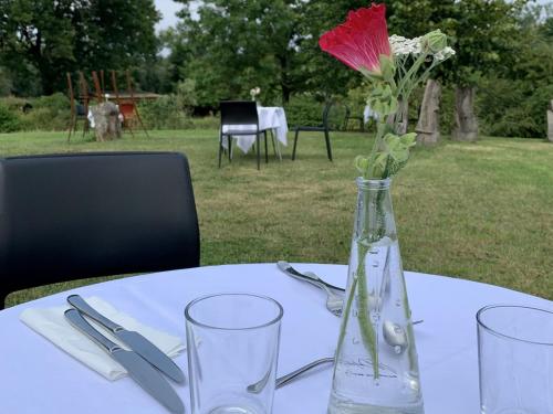 a table with a vase with a red flower in it at KulturGut Ulrichshalben in Ulrichshalben