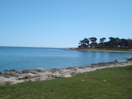 a large body of water with trees in the distance at Apartments Villa Orange in Medulin