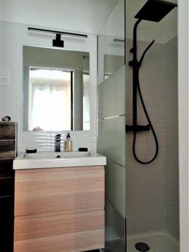 La salle de bains est pourvue d'un lavabo et d'une douche. dans l'établissement Maison avec jardin, à Marseille