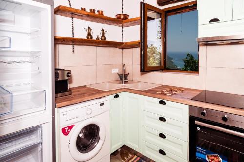 een keuken met een wasmachine en een wastafel bij Aristoteli's Stone House in Makrirrákhi