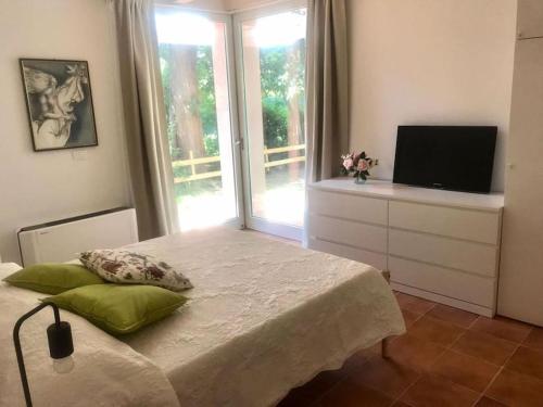 um quarto com uma cama, uma televisão e uma janela em Villetta nuova giardino 4 lati em Pietrasanta
