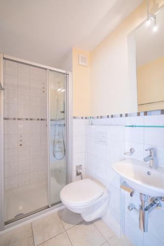 a bathroom with a shower and a toilet and a sink at Lifestyle & Spa Hotel Grächerhof in Grächen