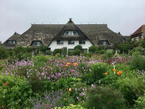 a field of flowers in front of a house at Hotel Haferland in Wieck