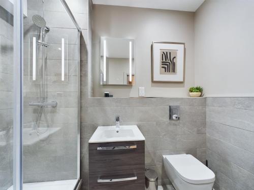 uma casa de banho com um lavatório, um WC e um chuveiro em Adelaide Apartment on Lisburn Road by Lesley em Belfast