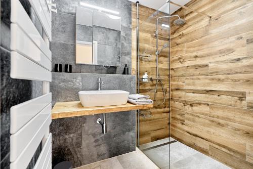 La salle de bains est pourvue d'un lavabo et d'une douche. dans l'établissement Ore house, à Loučná pod Klínovcem