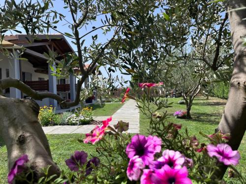 Сад в Residence la Pace - Pool & Relax