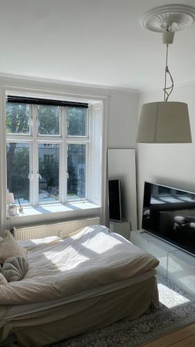 Cama ou camas em um quarto em Apartment in the heart of Copenhagen