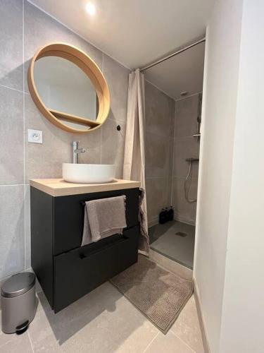 une salle de bain avec un lavabo et un miroir dans l'établissement Studio Cosy centre historique, à Caen