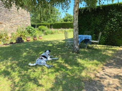 a dog laying in the grass next to a tree at Évasion Romantique au Prieuré avec Jardin en Anjou, Petit-Déjeuner Inclus - FR-1-622-63 in Méa