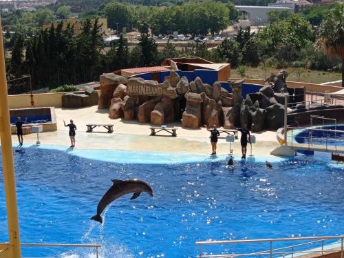 un grupo de personas en un parque acuático con delfines en 70m2 Apt 2bedrooms 25m2Terrace, 4Pools, 3min beach, en Lloret de Mar