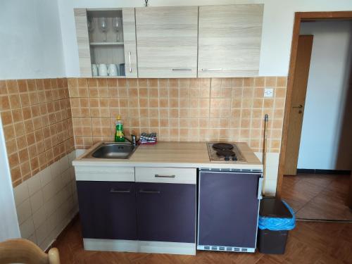 Il comprend une petite cuisine équipée d'un évier et d'une cuisinière. dans l'établissement Apartments Ivo, à Njivice