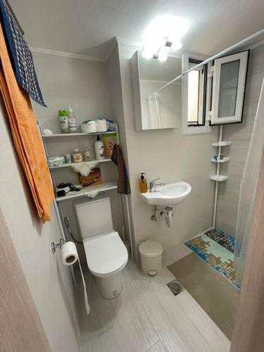 Baño pequeño con aseo y lavamanos en Διαμέρισμα στη Ναύπακτο, en Nafpaktos