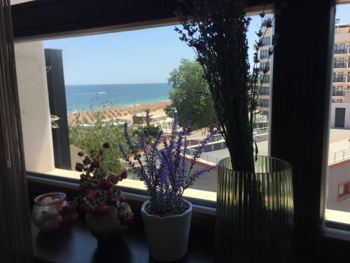 tre vasi con fiori seduti su un davanzale di Sunny apartment Lavanda Golden Sands 1st line a Golden Sands