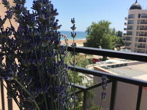 un vaso pieno di fiori viola su un balcone di Sunny apartment Lavanda Golden Sands 1st line a Golden Sands