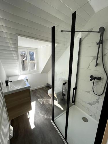 une salle de bain avec une douche en verre et un lavabo dans l'établissement Villa Narcisse, à Luchon
