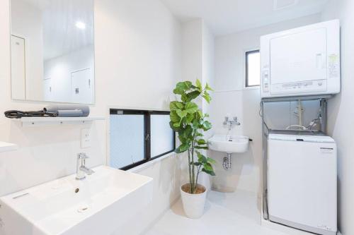 a white bathroom with a sink and a plant at Pufuka Hikifune ぷふか曳舟 in Tokyo