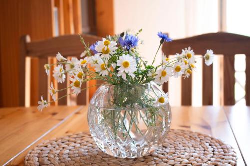 een vaas gevuld met bloemen zittend op een tafel bij Ferienwohnung Brunkhorst in Krakvitz in Putbus