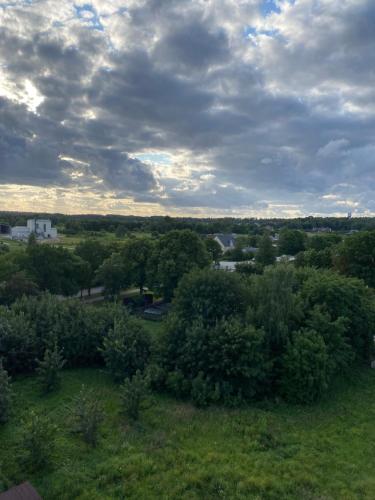 einen Blick über ein Feld mit Bäumen und Wolken in der Unterkunft The SiXth in Tukums