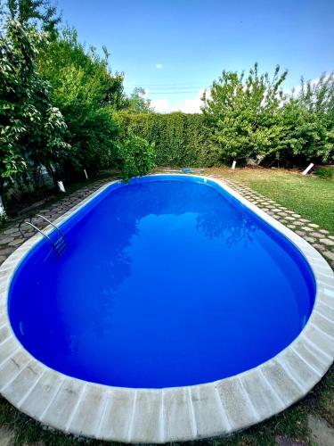 a large blue swimming pool in a yard at Villa Jardin - Novosel in Novosel