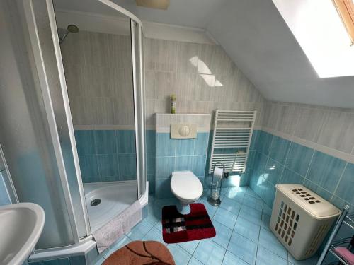 a bathroom with a shower and a toilet and a sink at Apartment Lilianna in Karlovy Vary