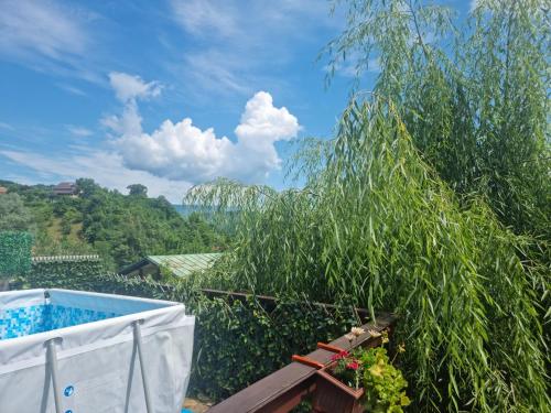 a view from the balcony of a villa with a swimming pool at Vila Rustic INN Bucegi in Pietroşiţa