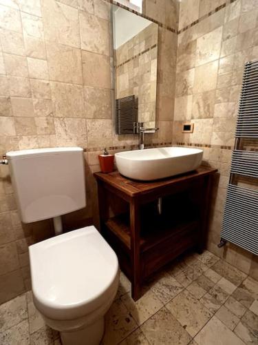 a bathroom with a white toilet and a sink at Lussuoso Chalet in centro a 4 min a piedi dalle piste da sci in Tarvisio